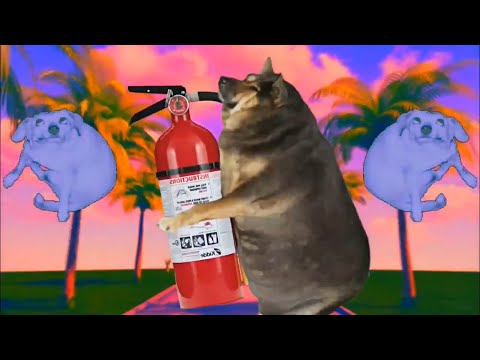 Thumbnail for YouTube: 10 HOURS OF DOG THING